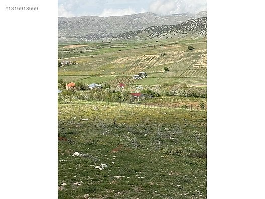 KORKUTELİ SÜLEKLER 2287 m2 ETRAFI TEL İLE ÇEVRİLMİŞ HAZIR BAHÇE - ANTALYA KORKUTELİ fotoğraf 2