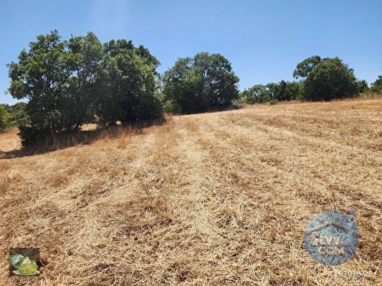 🚨 DURSUNBEY OSB YAKININDA 2.547 M² YATIRIMLIK VERİMLİ TARLA 🚨 - BALIKESİR DURSUNBEY fotoğraf 24