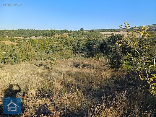 ÇAĞLAR'DAN TOPRAKDERE DE 823m2 MÜSTAKİL TARLA YOL+SU VAR - BURSA YENİŞEHİR fotoğraf 17