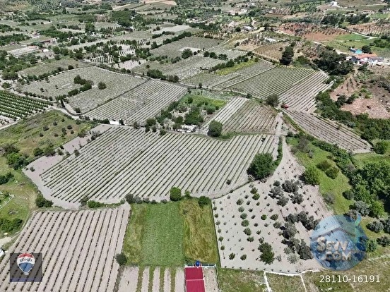 KUŞADASI KİRAZLI da SATILIK ÜZÜM BAĞI ANA YOLA YAKIN - AYDIN KUŞADASI fotoğraf 20