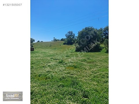 Bozüyük Baharözü'nde 1222m² Satılık Köşe Parsel Arsa - BİLECİK BOZÜYÜK fotoğraf 3