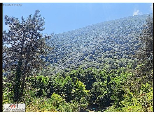 AYHAN HEPDİKER DEN GEYVE NURİOSMANİYEDE 18000 M2 HARİKA KONUMDA - SAKARYA GEYVE fotoğraf 23