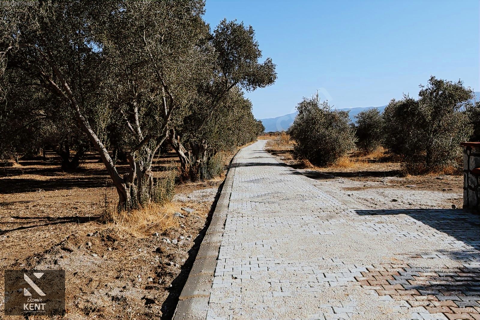 Kemalpaşa Sekiz Eylül Satılık 4.746 m2 Bahçe - İZMİR KEMALPAŞA fotoğraf 24