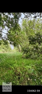 TEKİN EMLAKTAN BİLECİK OSMAELİNDE SATILIK TARLA - BİLECİK OSMANELİ fotoğraf 2