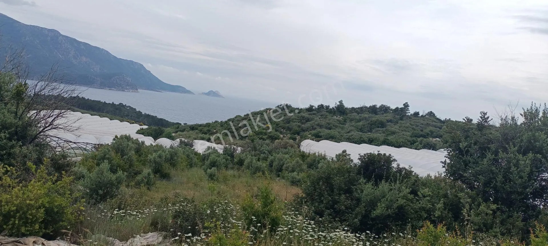 Kumluca Yenicepınar Da Deniz Manzaralı Satılık Arsa-tarla - ANTALYA KUMLUCA fotoğraf 10