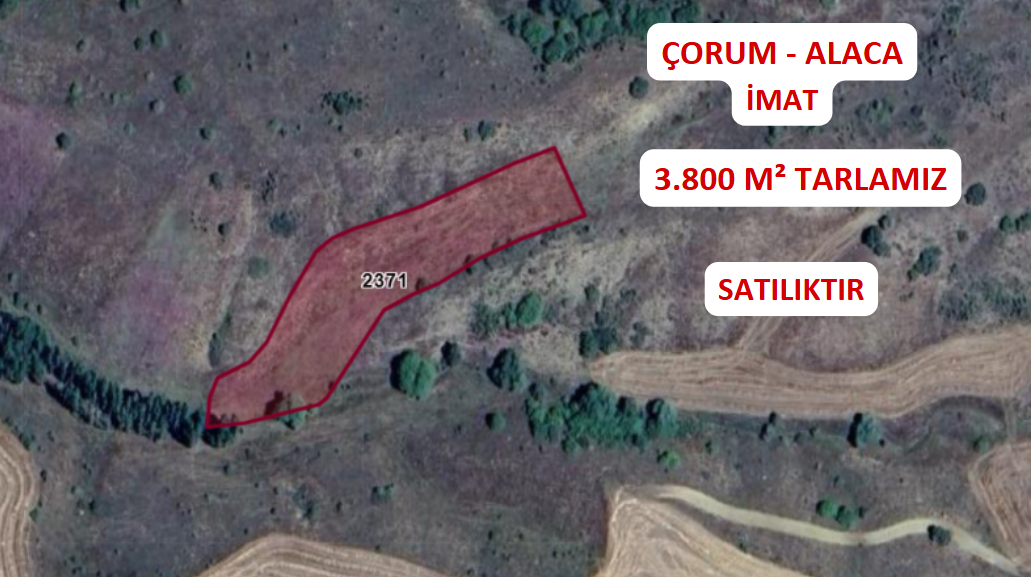 ÇORUM ALACA İMAT KÖYÜNDE 3.800 M² TARLA SATILIKTIR. - ÇORUM ALACA fotoğraf 2