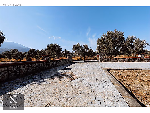 Kemalpaşa Sekiz Eylül Merkeze Yakın Satılık 3440 m2 Zeytinlik - İZMİR KEMALPAŞA fotoğraf 15