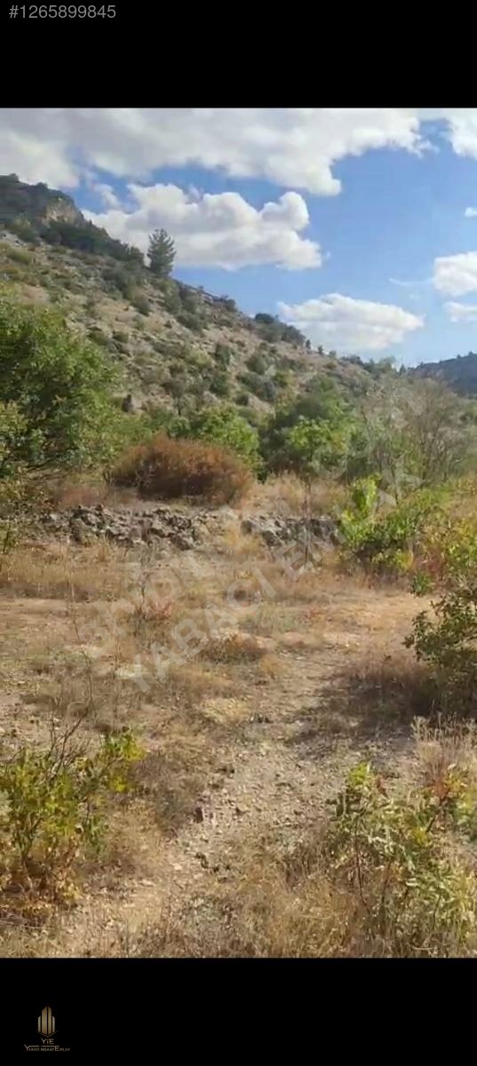 DÜMDÜZ RESMİ YOLU VAR SULAMA KANALI VAR . - UŞAK KARAHALLI fotoğraf 12