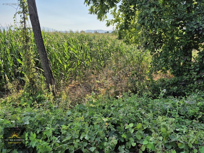 ADAPAZARI ÇÖKEKLER MAHALLESİNDE SATILIK TARLA - SAKARYA ADAPAZARI fotoğraf 4