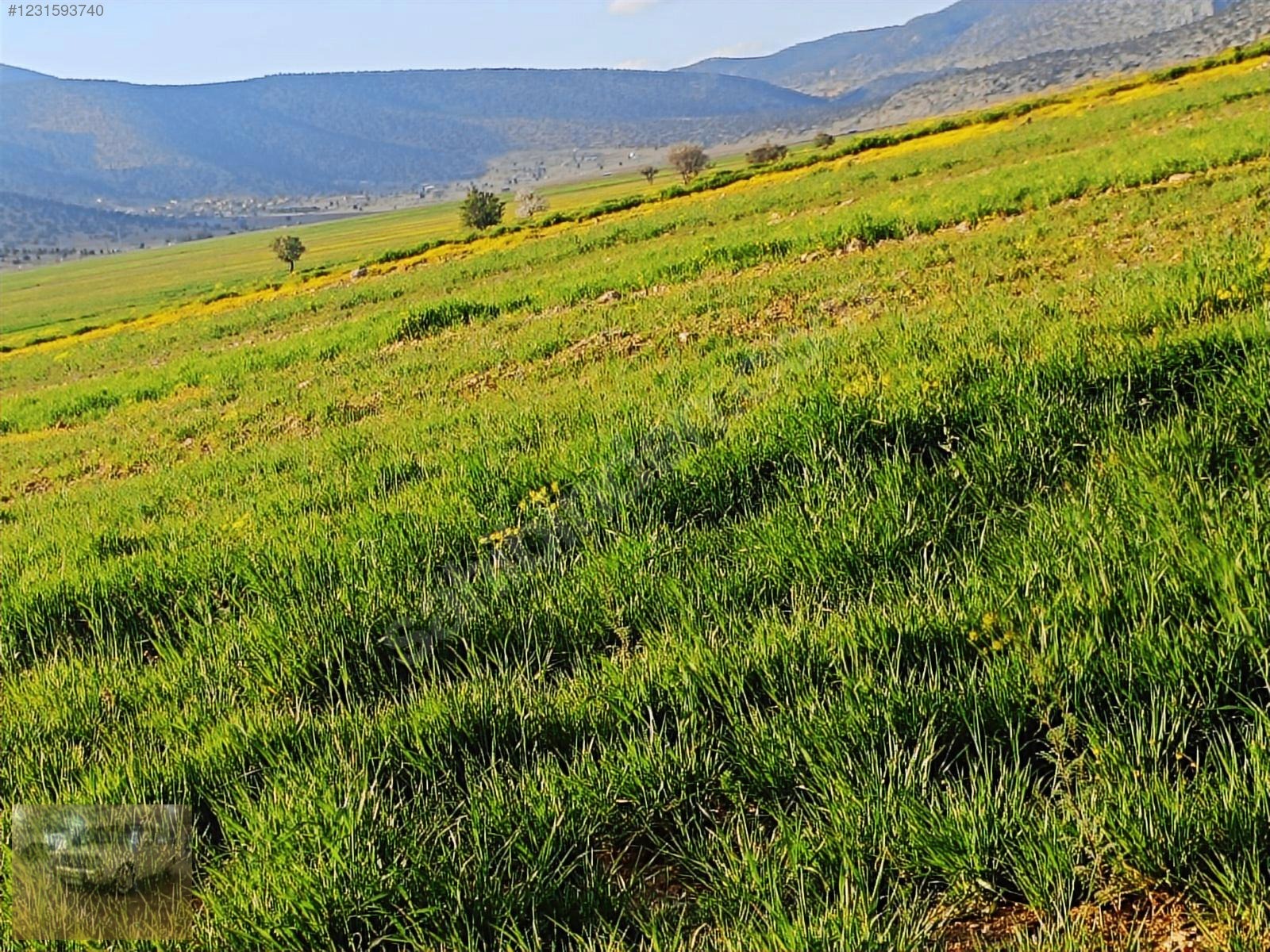 acil satilik!Yazıra datköye komşu imecikte;669m tek tapu yerimiz - ANTALYA KORKUTELİ fotoğraf 33