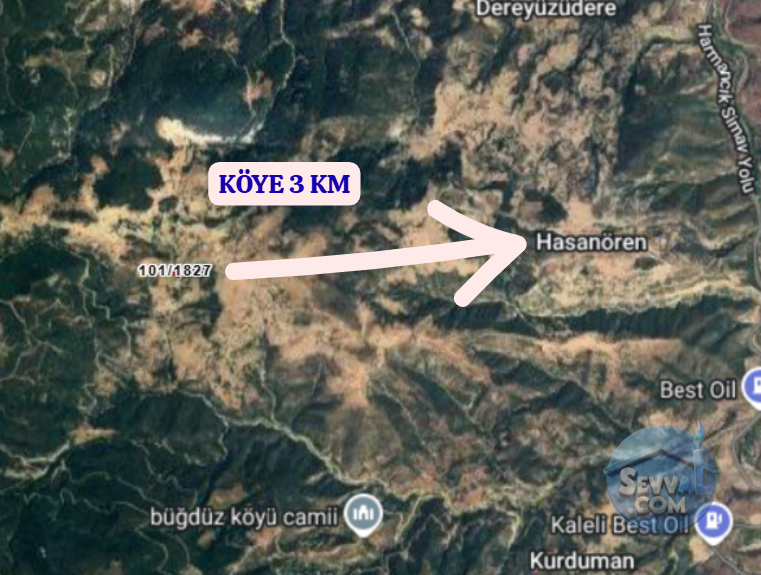 KÜTAHYA SİMAV HASANÖREN  KÖYÜNDE  1.323 M² TARLA  SATILIKTIR - KÜTAHYA SİMAV fotoğraf 4