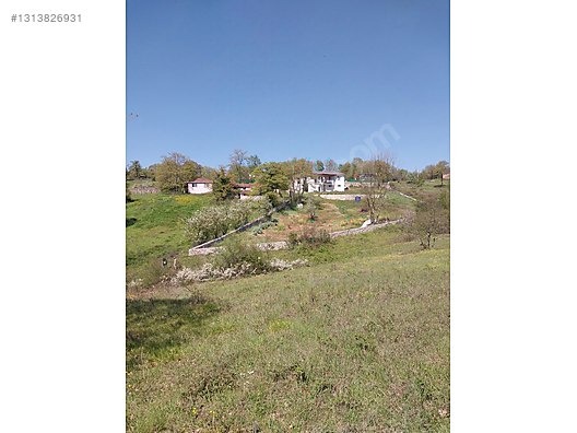 GEBZE AHATLI KÖYÜNDE 21 DÖNÜM ŞİLE SINIRI TARLA - KOCAELİ GEBZE fotoğraf 13