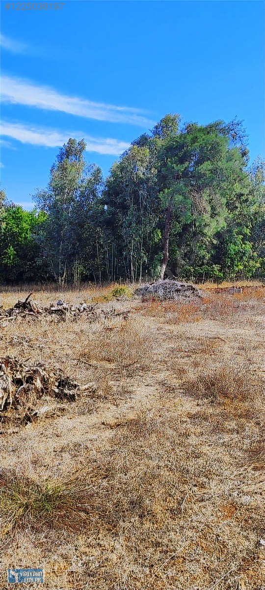 SOYDAN EMLAK'TAN ULA ÇÖRÜŞ KÜYÜNDE - MUĞLA ULA fotoğraf 4