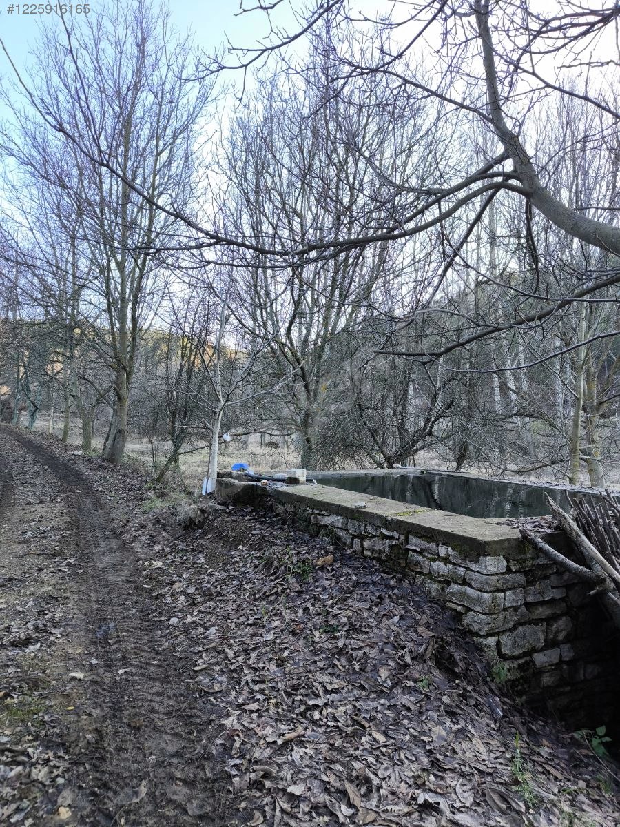 BURSA KELEŞ BAŞAK KÖYÜ’NDE 5.731 M²  TARLA SATILIKTIR - BURSA KELES fotoğraf 11