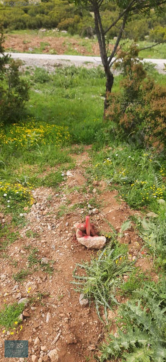 ACIPAYAM YASSIHÜYÜKTE SATILIK 4400 M2 ARSA - DENİZLİ ACIPAYAM fotoğraf 9
