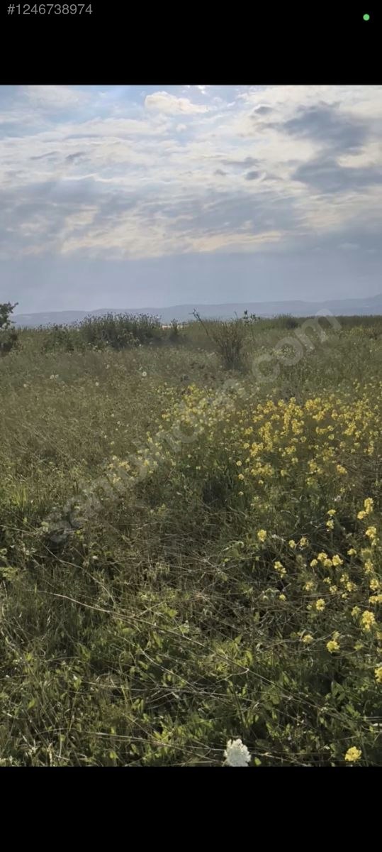 sahibinden satılık arsa yer Büyük çekmece - İSTANBUL BÜYÜKÇEKMECE fotoğraf 3