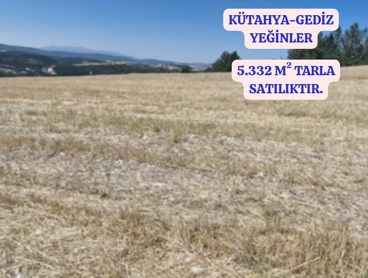    KÜTAHYA GEDİZ YEĞİNLER  KÖYÜNDE 5.332  M² TARLA  SATILIKTIR - KÜTAHYA GEDİZ fotoğraf 2