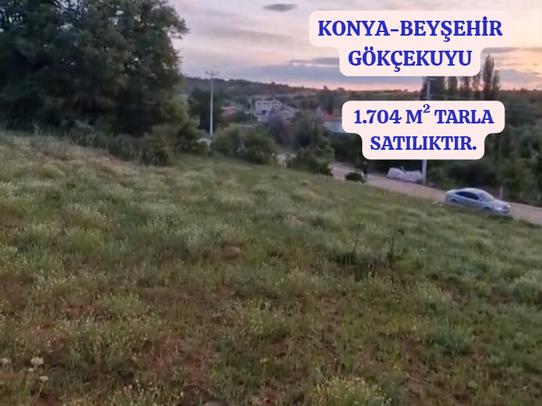  KONYA BEYŞEHİR GÖKÇEKUYU  KÖYÜNDEİ  1.704  M² TARLA SATILIKTIR  - KONYA BEYŞEHİR fotoğraf 2