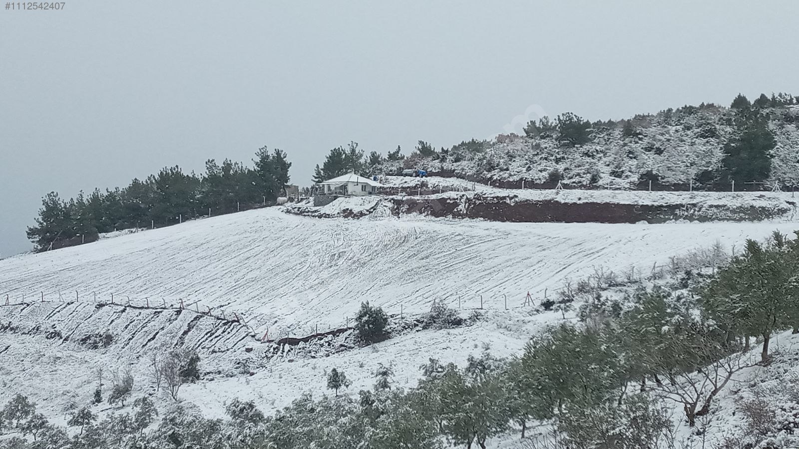 Tarla vasfında köy içi 9.133m2.tek tapulu 1+1 ev. tamamı telcit - MANİSA AKHİSAR fotoğraf 20