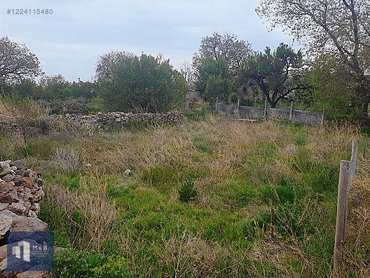 SARAYKÖY'DE SATILIK MÜSTAKİL 248 M2 BAHÇE - KONYA SELÇUKLU fotoğraf 2