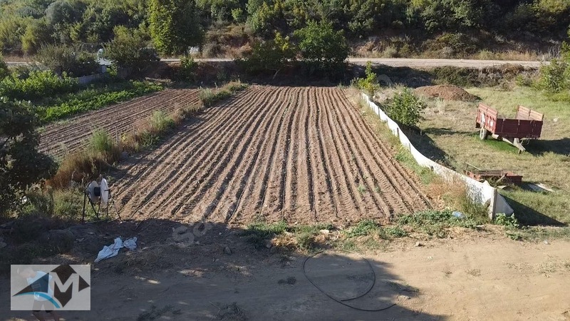 Balıkesir bandırma sahil yenice - BALIKESİR BANDIRMA fotoğraf 2