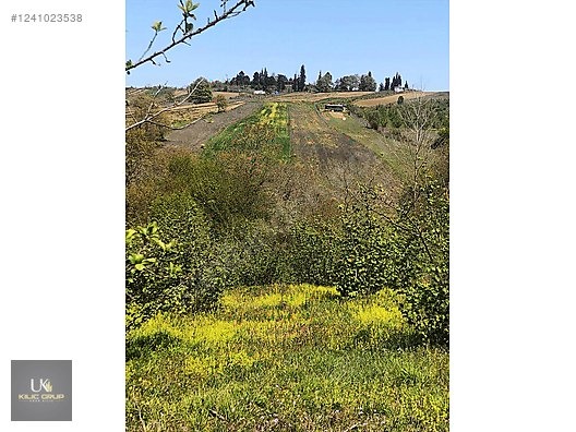 Kandıra Üğümce'de Satılık Fındıklık - KOCAELİ KANDIRA fotoğraf 4