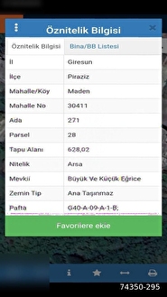 PİRAZİZ MADEN EĞRİCE MEVKİİNDE YATIRIMLIK ARSA - GİRESUN PİRAZİZ fotoğraf 2