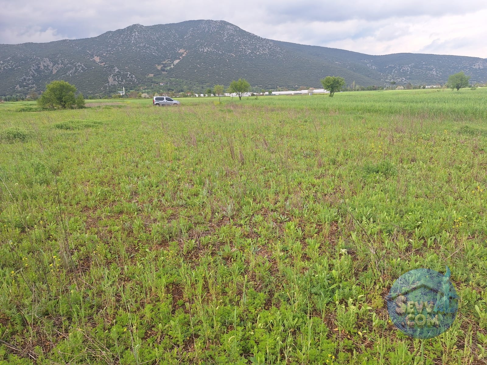 ASYA EMLAKTAN BURDUR AĞLASUN HİSARKÖY DE SATILIK FIRSAT TARLA - Burdur Ağlasun fotoğraf 15