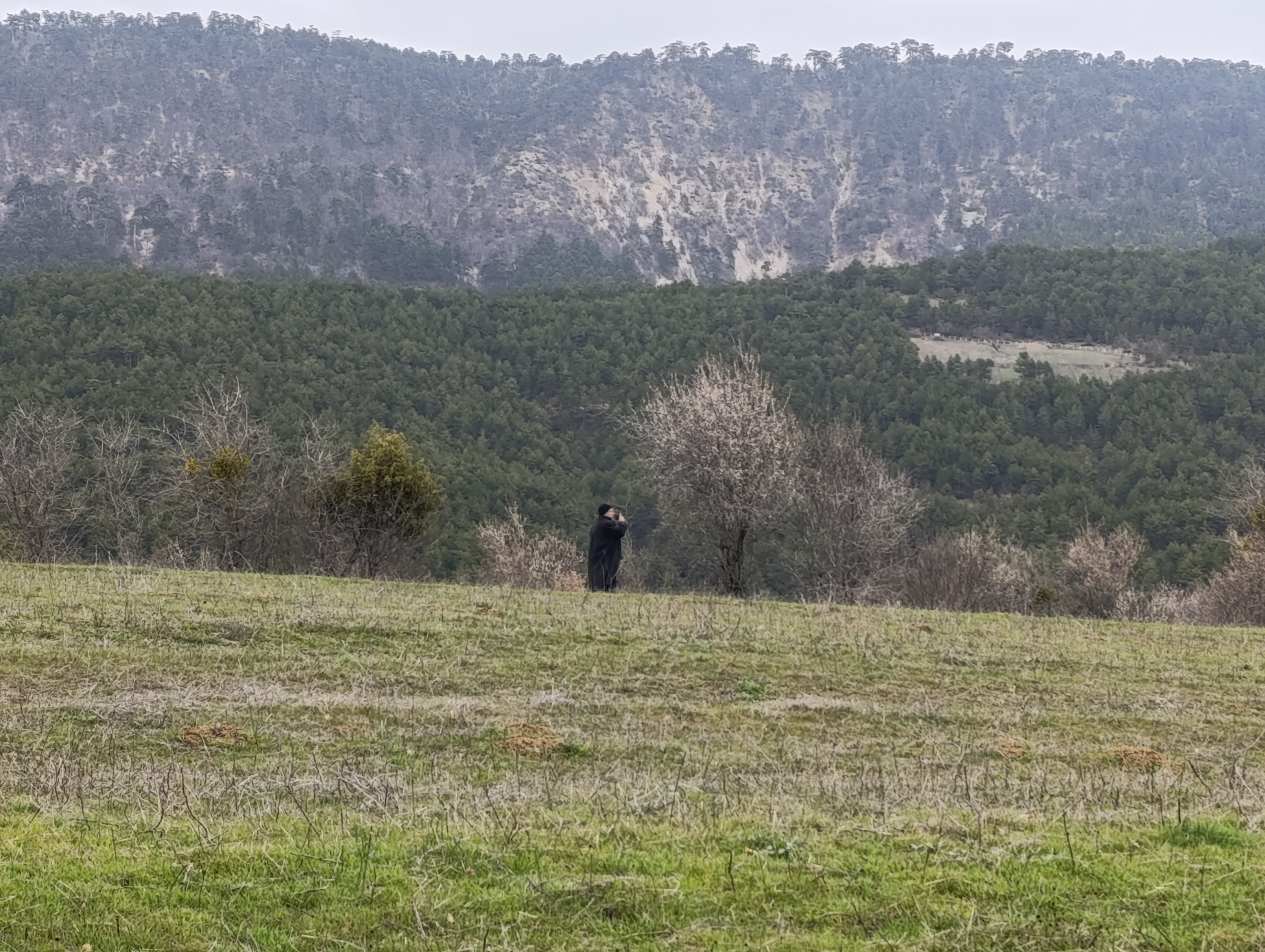 BOLU GÖYNÜK BOZCARMUT KÖYÜNDE KÜMES YERİ - BOLU GÖYNÜK fotoğraf 9