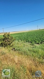 🚨 KÜTAHYA'DA ANAYOLA CEPHELİ 6.152 M² VERİMLİ TARLA 🚨 - KÜTAHYA MERKEZ fotoğraf 41