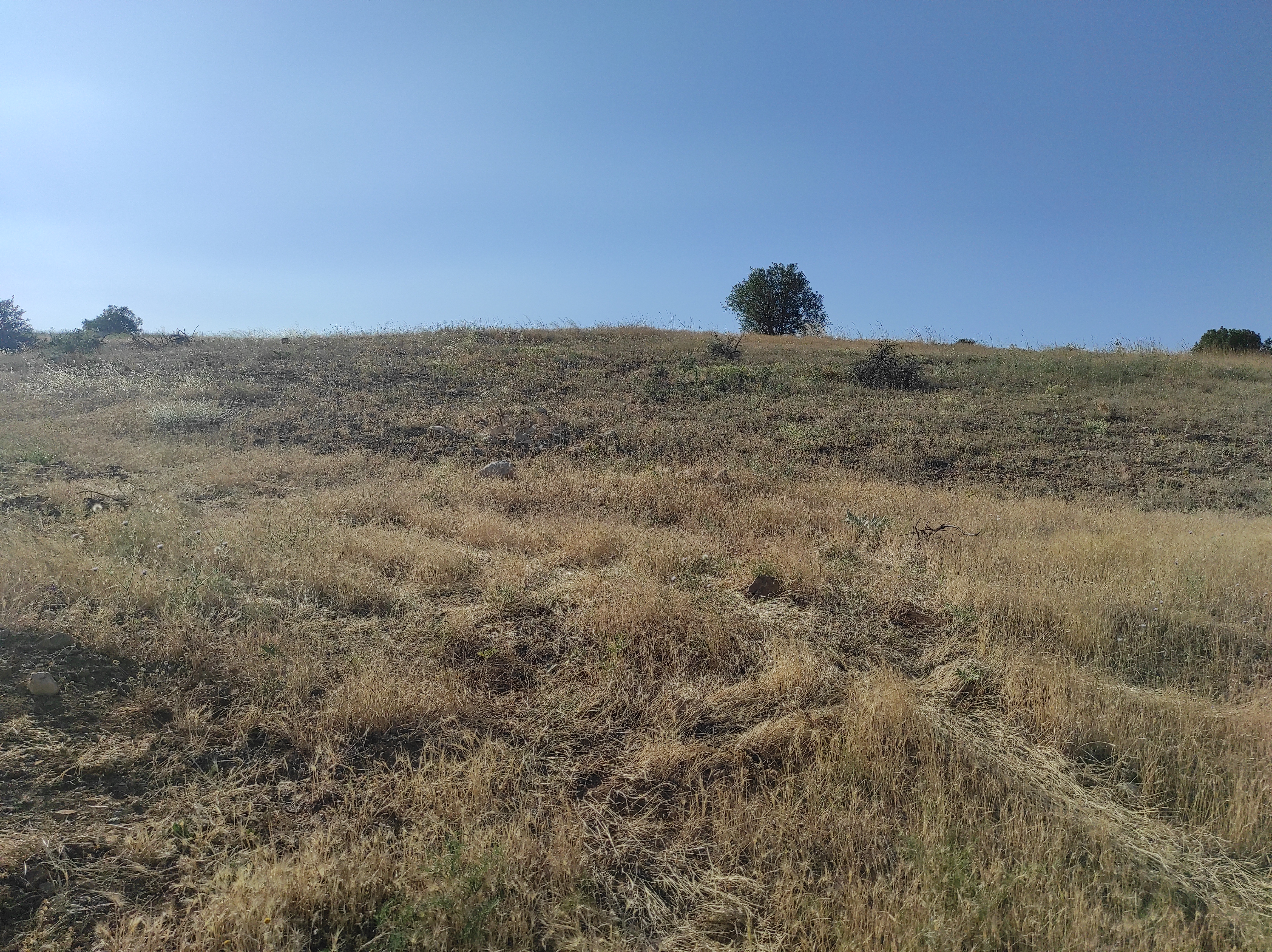 KONYA GÜNEYSINIR AĞRAS  KÖYÜNDE 8.433  M² TARLA  SATILIKTIR - KONYA GÜNEYSINIR fotoğraf 13