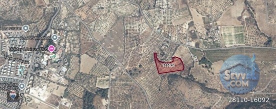 ŞEHIR MERKEZINE YAKIN 15.033 M² SATILIK ZEYTINLIK - AYDIN KUŞADASI fotoğraf 16
