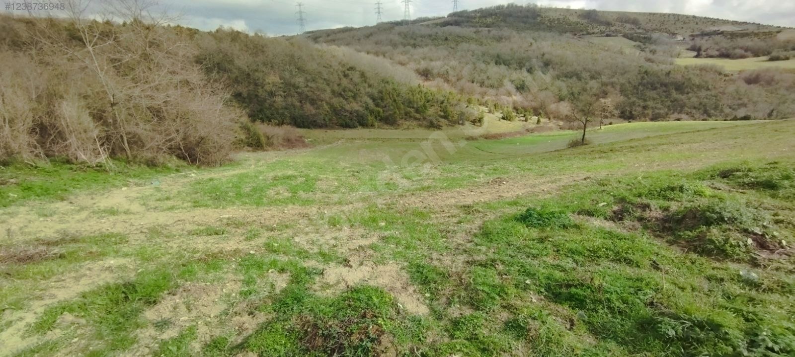 13.5 dönüm tek tapu sahibinden satılık - KOCAELİ DERİNCE fotoğraf 5