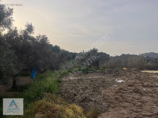 Atlantik gayrimenkul den satılık arsa - İZMİR ÖDEMİŞ fotoğraf 10