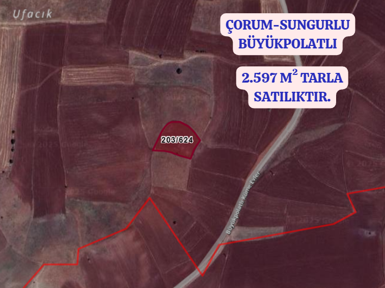 ÇORUM SUNGURLU BÜYÜKPOLATLI  KÖYÜNDE  2.597  M² TARLA  SATILIKTIR - ÇORUM SUNGURLU fotoğraf 2