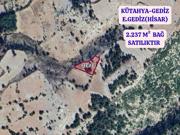 KÜTAHYA GEDİZ E.GEDİZ (HİSAR)   KÖYÜNDE 2.237  M²  BAĞ  SATILIKTIR - KÜTAHYA GEDİZ fotoğraf 2