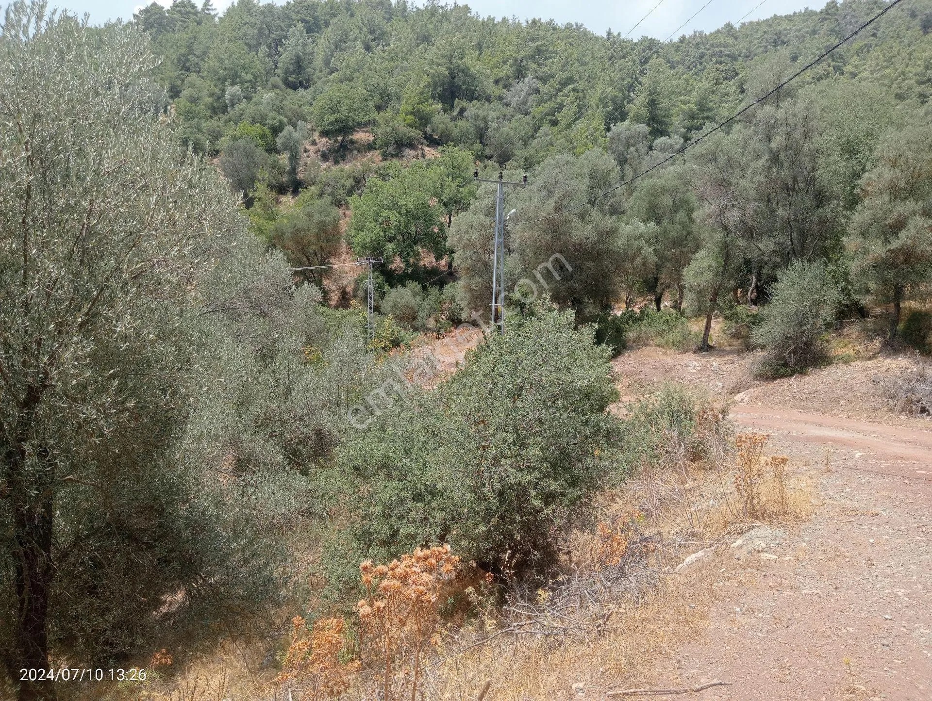 Antalya Kumluca Orta Köyde Satılık Tarla İnceoğlu Emlak - ANTALYA KUMLUCA fotoğraf 14