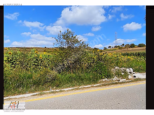 AYHAN HEPDİKER DEN SALMANLIDA ASVALT YOLA CEPHELİ 1.377m2 TARLA - SAKARYA ADAPAZARI fotoğraf 16