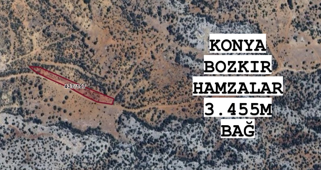 KONYA BOZKIR HAMZALAR KÖYÜNDE 3.455M² BAĞIMIZ SATILIKTIR. - KONYA BOZKIR fotoğraf 2