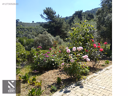 Kemalpaşa Aşağıkızılca Satılık 4536 m2 Bahçe - İZMİR KEMALPAŞA fotoğraf 40