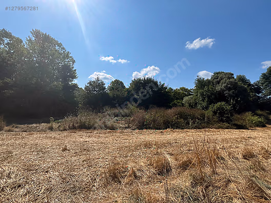 KOCAELİ KANDIRA TEKSEN  KÖYÜNDE 641 M²  TARLA  SATILIKTIR - KOCAELİ KANDIRA fotoğraf 14