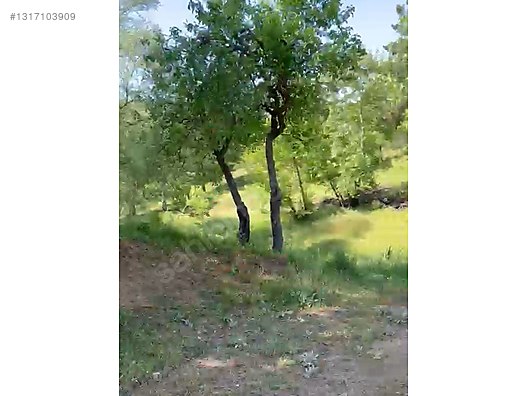 ÇANAKKALE BAYRAMİÇ SERHAT KÖYÜ 526 m2 % 80 İMARLI ARSA - ÇANAKKALE BAYRAMİÇ fotoğraf 23