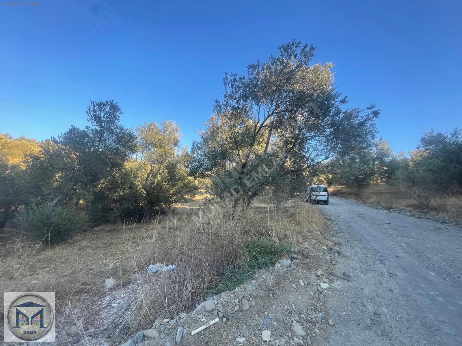 PELİTKÖY SAHİLDE İMARA 650 METRE SATILIK 6.500M2 ZEYTİNLİK - BALIKESİR BURHANİYE fotoğraf 8