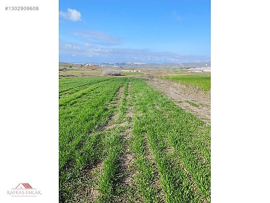 BOĞAZKÖYDE İMAR SINIRINDA 17.700M2 TARLA - BURSA MUSTAFAKEMALPAŞA fotoğraf 4