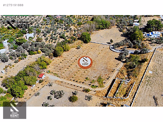 Kemalpaşa Nazarköy Satılık 9501m2 Bahçe - İZMİR KEMALPAŞA fotoğraf 11