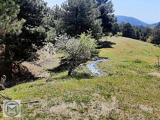 HAVRAN FAZLICA HANLAR MEVKİİ EKO TURİZME UYGUN 12500 M2 TARLA - BALIKESİR HAVRAN fotoğraf 17