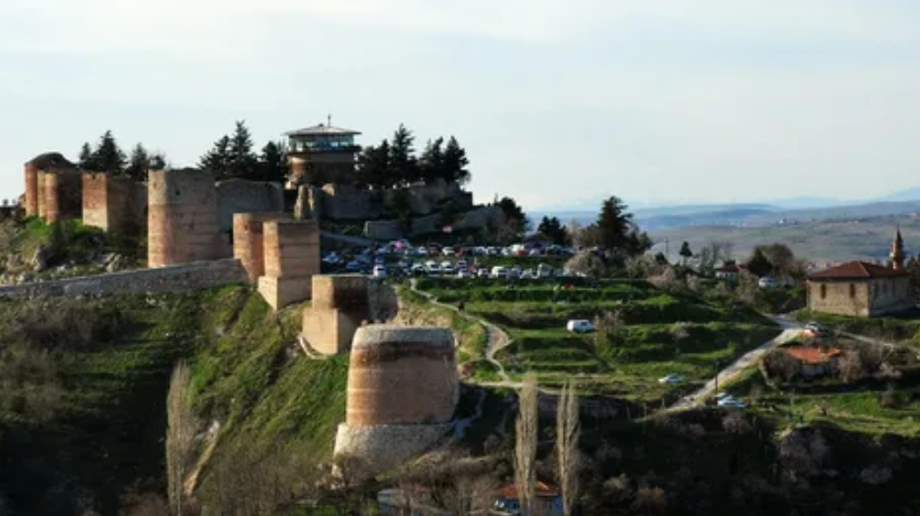 KÜTAHYA ASLANAPA TOKUL KÖYÜNDE 5.354 M² TARLAMIZ SATILIKTIR. - KÜTAHYA ASLANAPA fotoğraf 7
