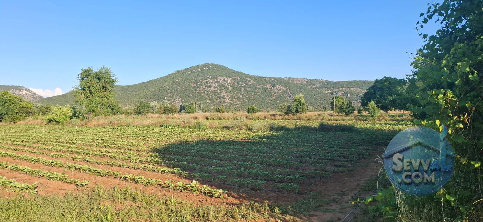 AĞLASUN ÇANAKLI KÖYÜNDE YATIRIMA UYGUN FIRSAT ARAZİ - BURDUR AĞLASUN fotoğraf 10