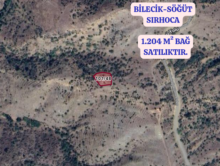 BİLECİK SÖĞÜT SIRHOCA  KÖYÜNDE 1.204  M² BAĞ   SATILIKTIR - BİLECİK SÖĞÜT fotoğraf 2