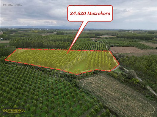 YATIRIM FIRSATI! ERENLER/ŞEYHKÖY MAH. 24.620 M² - SAKARYA ERENLER fotoğraf 14